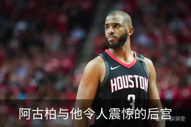 阿古柏与他令人震惊的后宫